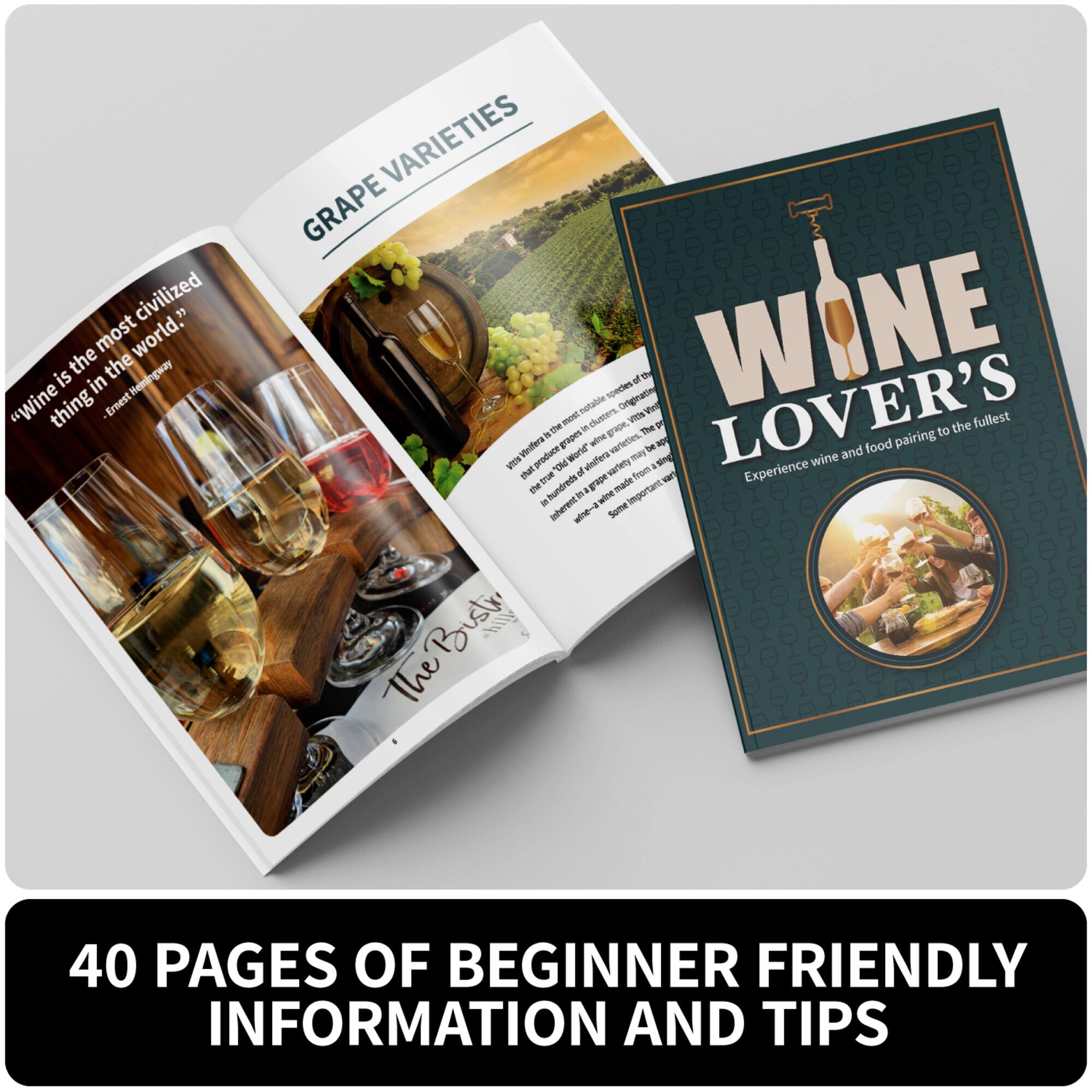 SpiceBox Wine Enthusiast Gift Box Set